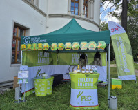 Dzień Pszczół
