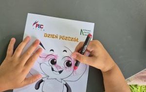 Dzień Pszczół (2)